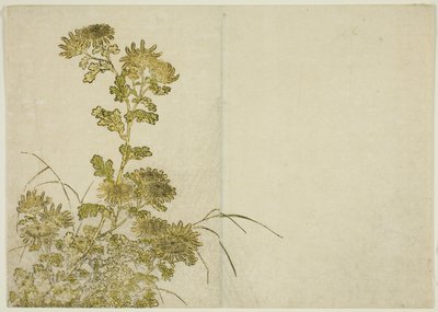 Fiori d
