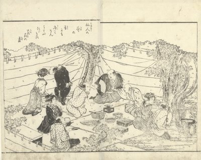Compagnia sotto un ciliegio da Katsukawa Shuntei