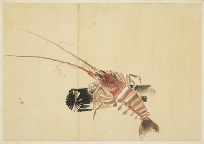 Ebi (Gambero gigante) da Katsushika (school of) Hokusai