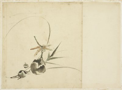 Ramo di frutta con libellula da Katsushika (school of) Hokusai