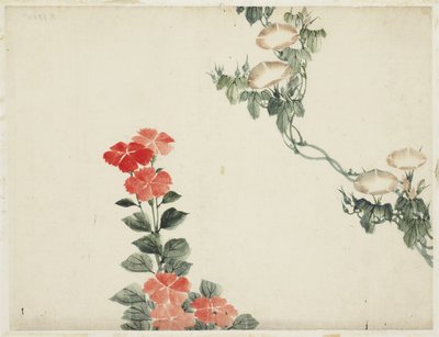 Gloria mattutina e fiori rossi da Katsushika (school of) Hokusai