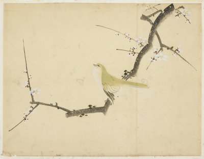Usignolo su un ramo di prugna da Katsushika (school of) Hokusai