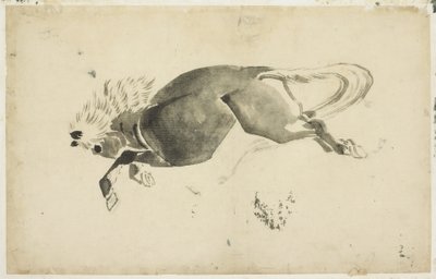 Cavallo al galoppo da Katsushika (school of) Hokusai