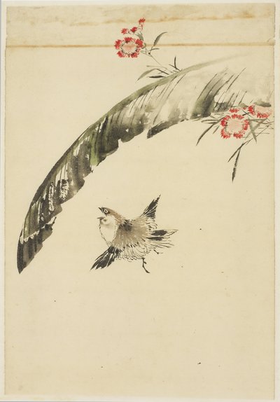 Passero e foglia di banana e garofani da Katsushika (school of) Hokusai