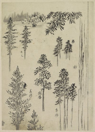 Paesaggio con alberi da Katsushika Hokusai (possibly)