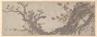 Antico albero di prugne in fiore da Katsushika Hokusai