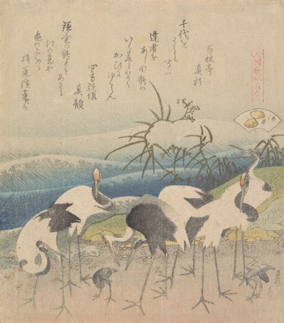 Vongola Ashi, dalla serie Genroku Kasen Kai-awase da Katsushika Hokusai