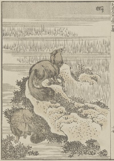 Tasso da Katsushika Hokusai