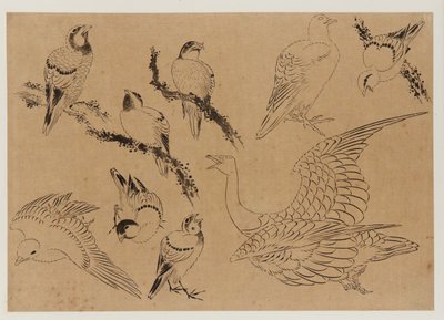 Uccelli, periodo Edo, fine XVIII-inizio XIX secolo da Katsushika Hokusai