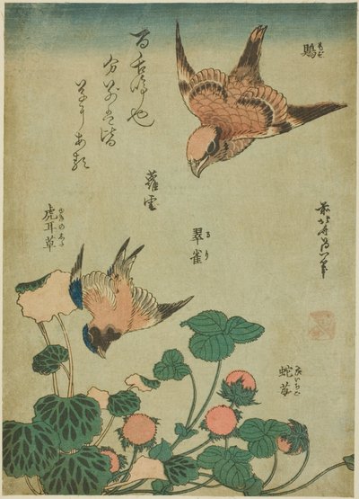 Mozu, ruri, yukinoshita, hebi-ichigo, da una serie senza titolo di fiori e uccelli da Katsushika Hokusai