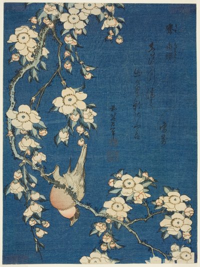 Fringuello e Ciliegio Piangente (Uso, shidarezakura), da una serie senza titolo di fiori e uccelli da Katsushika Hokusai