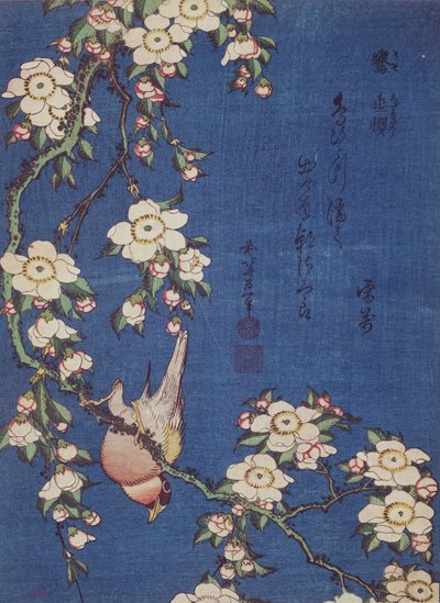 Fringuello e ciliegio piangente, pub. c.1834 da Katsushika Hokusai