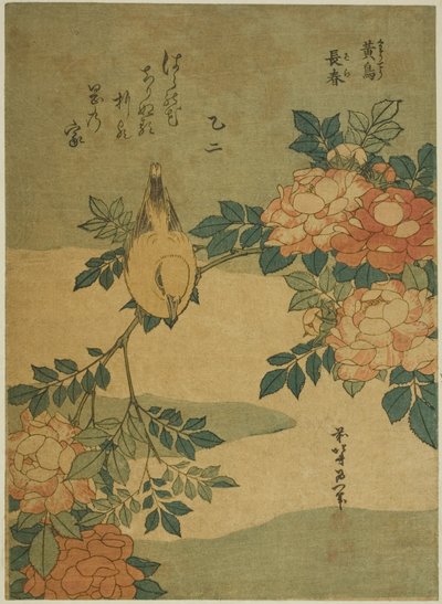 Usignolo e rosa (Kocho, bara), da una serie senza titolo di fiori e uccelli da Katsushika Hokusai