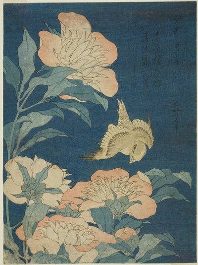 Canarino e peonia (Kanaari, shakuyaku), da una serie senza titolo di fiori e uccelli da Katsushika Hokusai