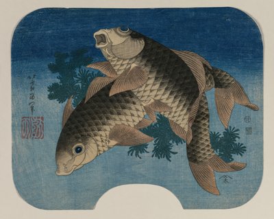 Carpe che nuotano tra le erbacce, 1831 da Katsushika Hokusai