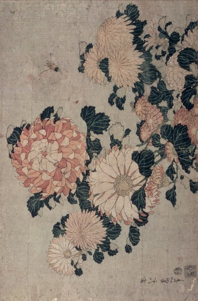 Crisantemi da Katsushika Hokusai