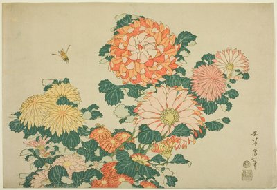 Crisantemi e ape, da una serie senza titolo di Grandi Fiori da Katsushika Hokusai