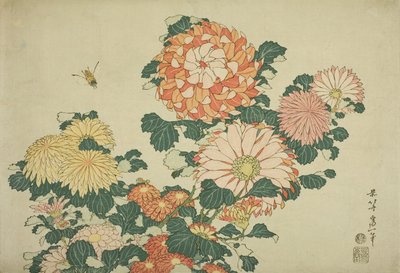 Crisantemi e ape, da una serie senza titolo di grandi fiori da Katsushika Hokusai