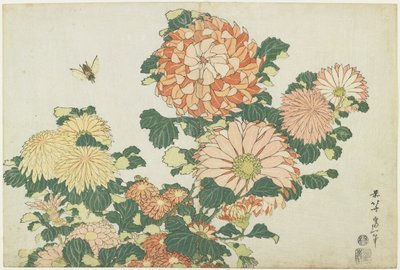 Crisantemi e tafano, c. 1832 da Katsushika Hokusai