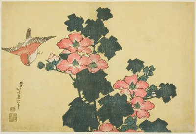 Rose di cotone e passero, da una serie senza titolo di Grandi Fiori da Katsushika Hokusai