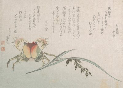 Granchio e pianta di riso, XIX secolo da Katsushika Hokusai