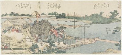 Il campo delle gru e dei pini a Shirahige, Taya a Hashiba da Katsushika Hokusai