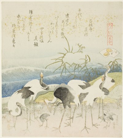 Gru sulla riva, illustrazione per The Leg Shell (Ashigai), dalla serie "A Matching Game with Genroku-period Poem Shells (Genroku kasen kai awase)" da Katsushika Hokusai