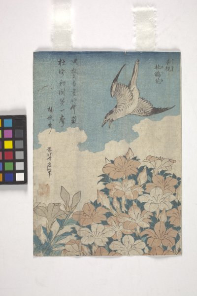 Cuculo e azalea da Katsushika Hokusai