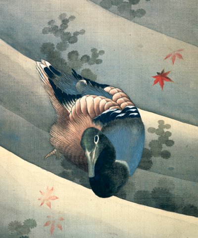 Anatra che nuota in acqua, 1847 da Katsushika Hokusai