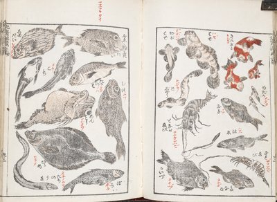 Pesci e creature marine da Katsushika Hokusai