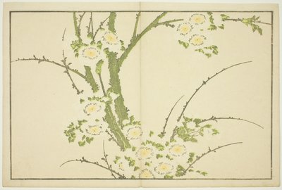 Fiori, dal Libro delle Immagini di Pitture Realistiche di Hokusai (Hokusai shashin gafu) da Katsushika Hokusai