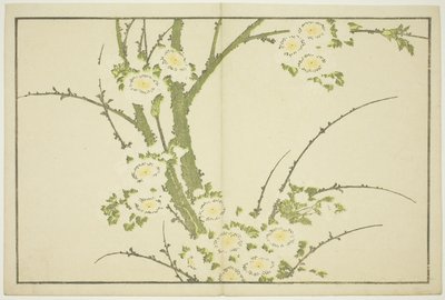 Fiori, dal Libro delle Immagini di Pitture Realistiche di Hokusai (Hokusai shashin gafu), c.1814 da Katsushika Hokusai