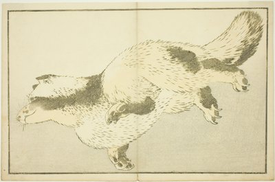Volpe, dal Libro delle pitture realistiche di Hokusai da Katsushika Hokusai