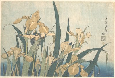 La cavalletta e l’iris da Katsushika Hokusai