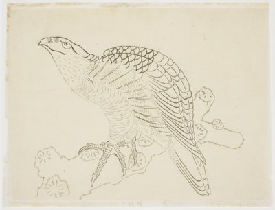 Falco su un ramo (studio) da Katsushika Hokusai