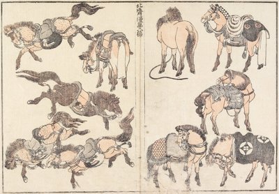Cavalli da Katsushika Hokusai
