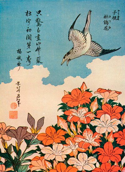 Hototogisu satsuki Cuculo e Azalea, c1828, 1936 da Katsushika Hokusai