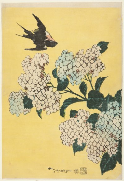Ortensia e rondine, da una serie senza titolo di grandi fiori da Katsushika Hokusai