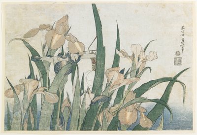 Fiori di iris e cavalletta, c.1830-31 da Katsushika Hokusai