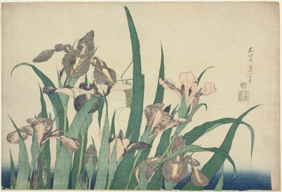 Iris e cavalletta, da una serie senza titolo di grandi fiori da Katsushika Hokusai