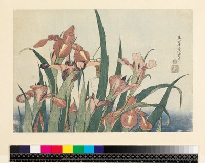 Iris e cavalletta, pub. da Nishimura Eijudo, c.1832 da Katsushika Hokusai