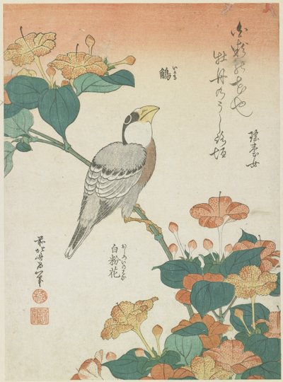 Grosbeak giapponese e Quattro-ore, c. 1833 da Katsushika Hokusai