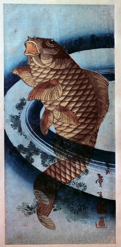 Arte giapponese: una carpa, stampa di Katsushika Hokusai, XIX secolo, Parigi, Musee Guimet da Katsushika Hokusai