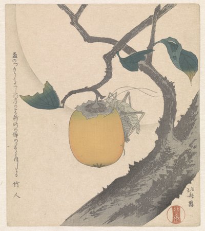 Frutto di cachi con cavalletta da Katsushika Hokusai