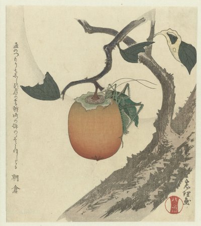 Frutto di cachi con cavalletta da Katsushika Hokusai