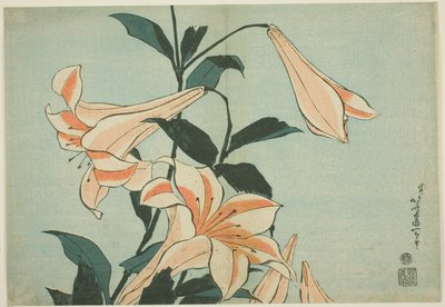 Gigli, da una serie senza titolo di Grandi Fiori da Katsushika Hokusai