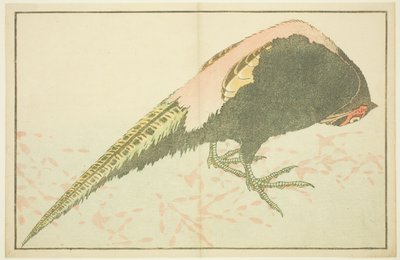 Fagiano maschio, dal Libro delle pitture realistiche di Hokusai (Hokusai shashin gafu) da Katsushika Hokusai