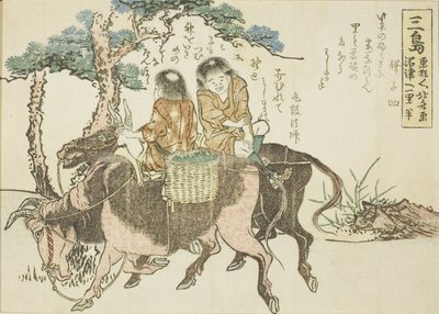 Mishima, da una serie senza titolo delle cinquantatré stazioni del Tokaido da Katsushika Hokusai