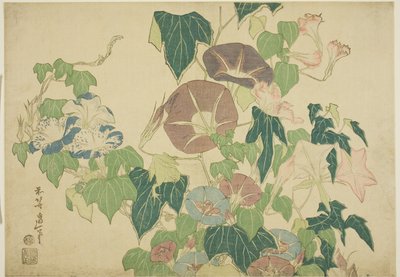 Glorie del mattino e rana arborea, da una serie senza titolo di grandi fiori da Katsushika Hokusai