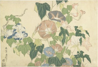 Glorie del Mattino e Rana Arboricola, dalla serie senza titolo nota come Grandi Fiori, c.1833-34 da Katsushika Hokusai